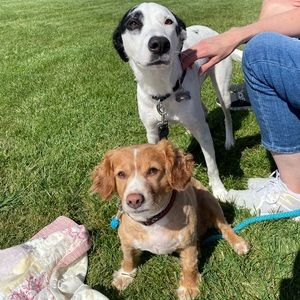 Meet your Posher, Lily